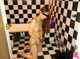Misa Fujii - Standing Naked Bigboobs P1 No.04c179
